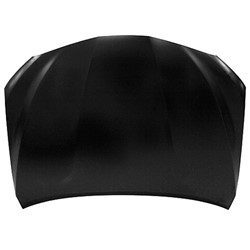 TO1230245C Hood Panel