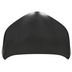 TO1230246C Hood Panel