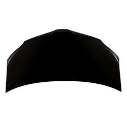 TO1230248C Hood Panel