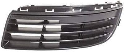 VW1036108 Driver Side Front Bumper Grille