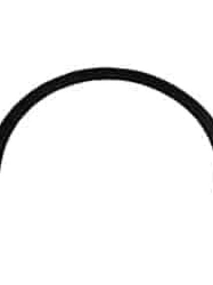 VW1790102 Driver Side Quarter Molding