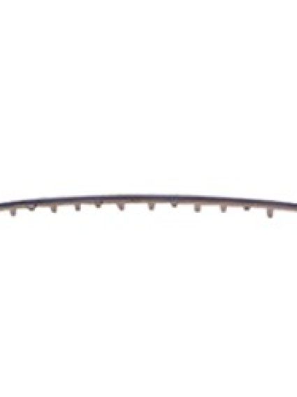 FO1036134 Front Bumper Grille Molding