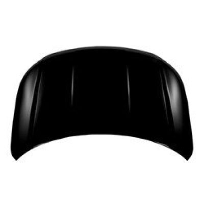 FO1230315C Hood