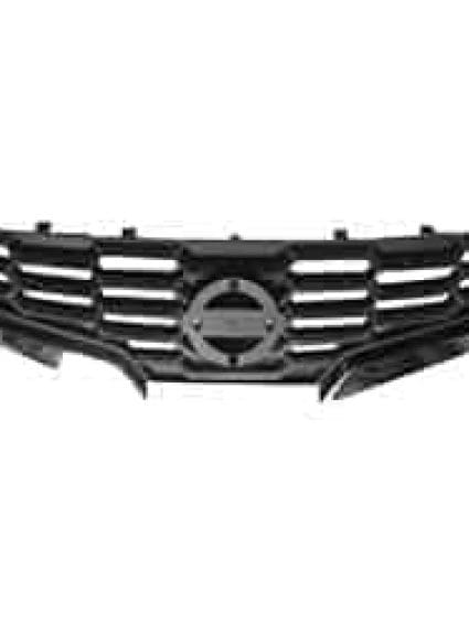 NI1200225 Grille Main