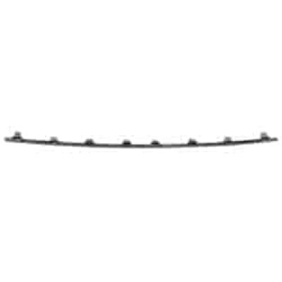 LX1044110 Front Bumper Molding