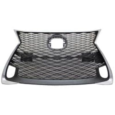 LX1200191 Grille Main