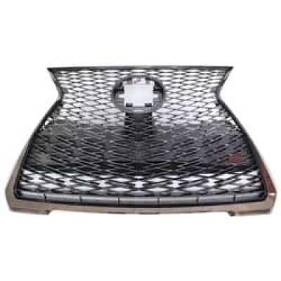 LX1200205 Grille Main