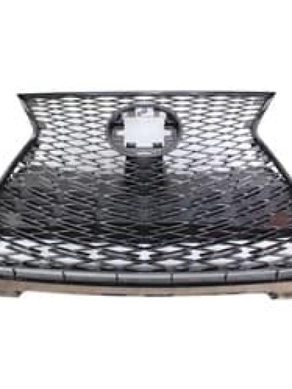 LX1200205 Grille Main