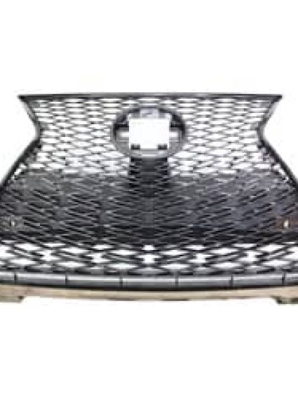 LX1200206 Grille Main