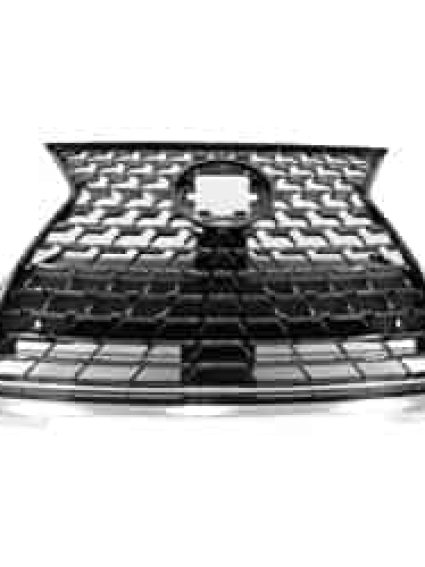 LX1200210 Grille Main