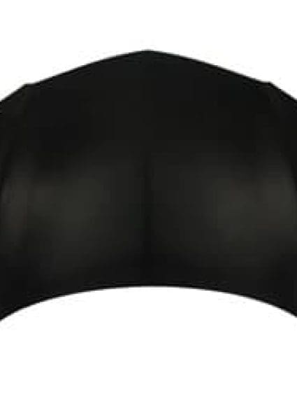 AC1230112C Hood Panel