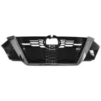 NI1200318 Grille Main