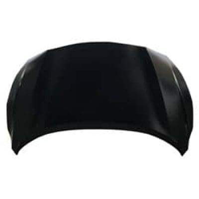 NI1230223 Hood NI1230223 Hood