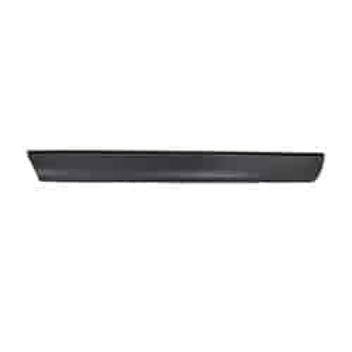 NI1504101 Driver Side Door Molding