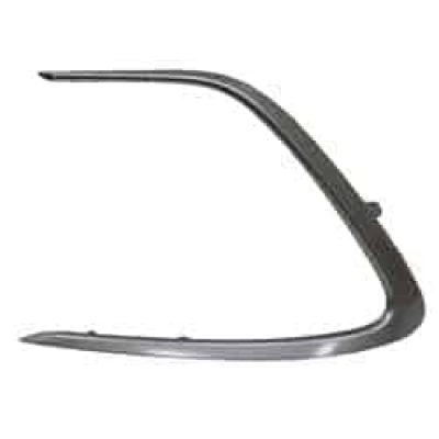 TO1038244C Driver Side Molding