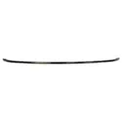 TO1144106 Rear Bumper Cover Molding Dark Argent