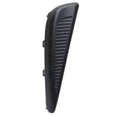 TO1039228 Passenger Side Molding