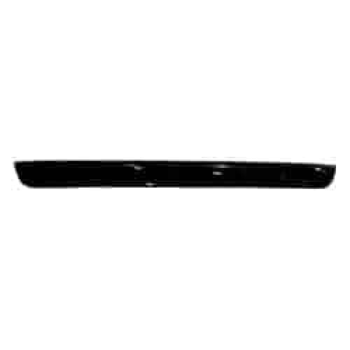 TO1904109 Rear Lower Tailgate Molding