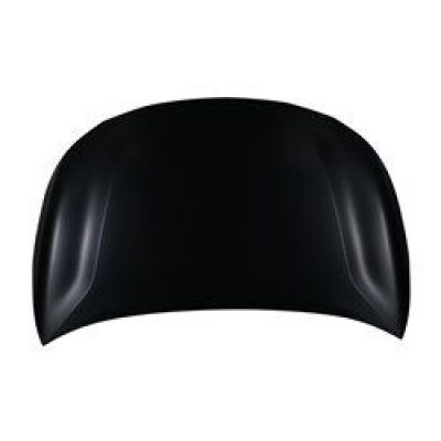 TO1230251C Hood Panel
