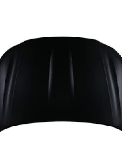 TO1230258C Hood Panel