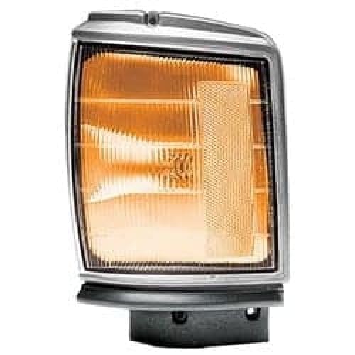 TO2520117V Driver Side Park Light Assembly