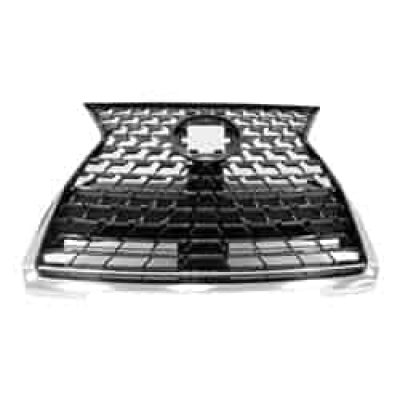 LX1200209 Grille Main