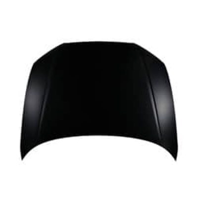 AU1230128C Body Panel Hood