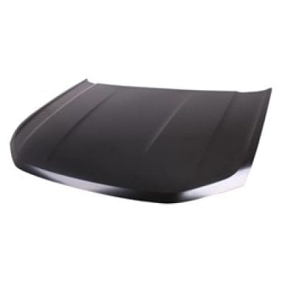 VW1230155C Hood Panel