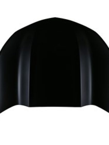 GM1230473C Body Panel Hood