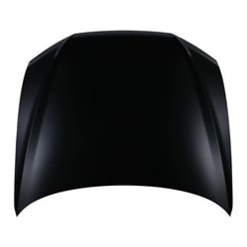 AU1230135C Body Panel Hood