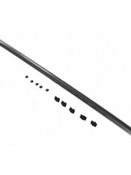 GM1216104 Grille Molding