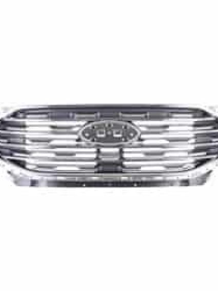 FO1200644C Grille Main