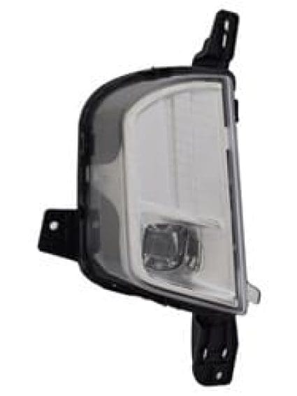 FO2593253C Fog Lamp Assembly