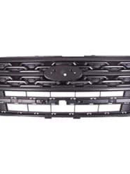 FO1200625C Grille Main