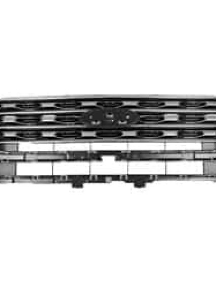 FO1200579C Grille Main