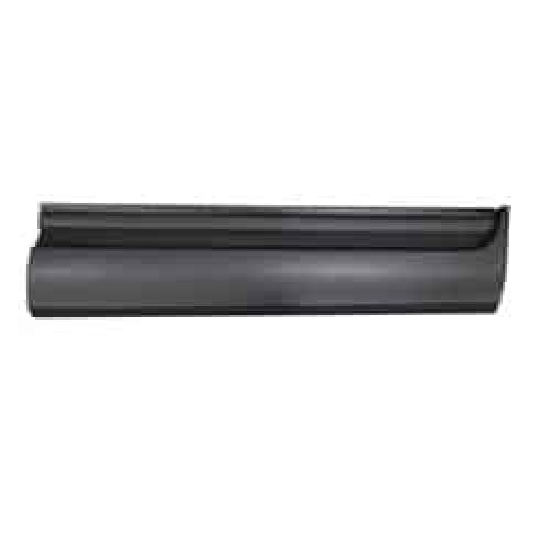 FO1305112 Passenger Side Door Molding