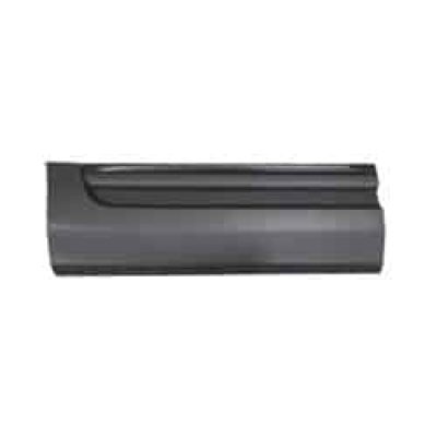 FO1505114 Passenger Side Door Molding