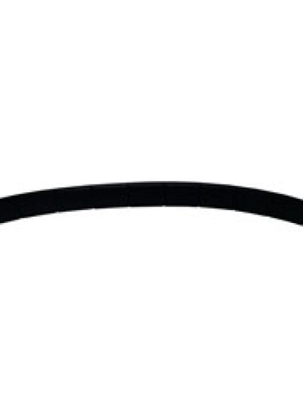 FO1019104C Front Bumper Step Pad
