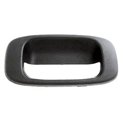 GM1916102 Handle Tailgate Exterior Bezel – CAPS