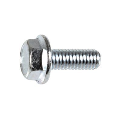 Auveco Metal Screw Metric M6 CAPS17316