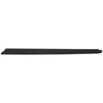 FO1792107 Driver Side Molding