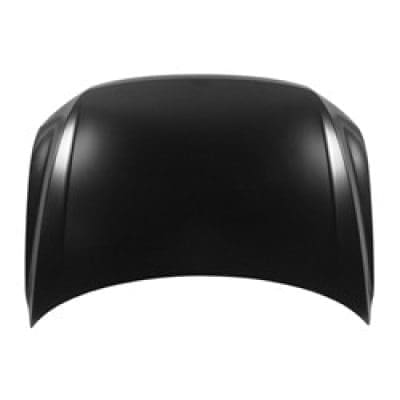 VW1230154C Hood Panel