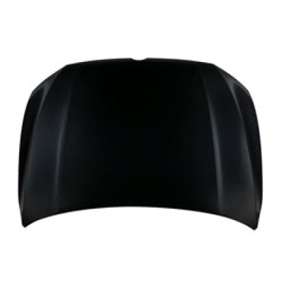 VW1230158C Hood Panel