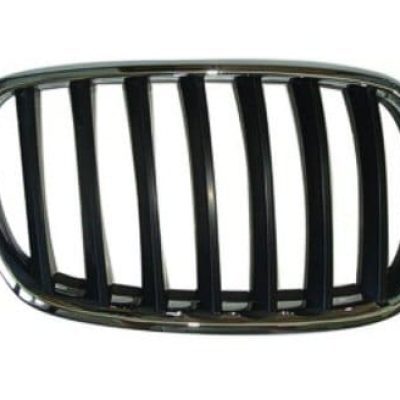 BM1200181 Grille Main