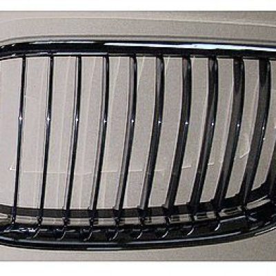 BM1200210 Grille Main