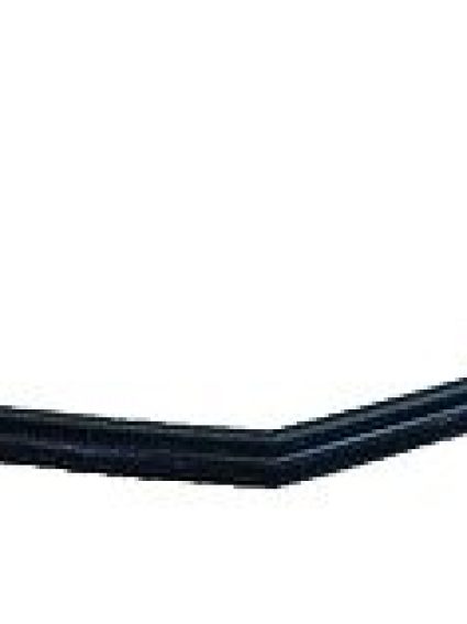 GM1217116 Grille Molding