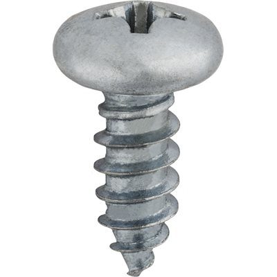 Auveco Metal Screw Standard #10 CAPS1943