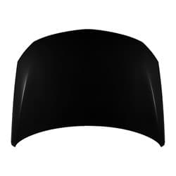 GM1230463C Body Panel Hood