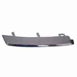 HO1213110 Grille Molding