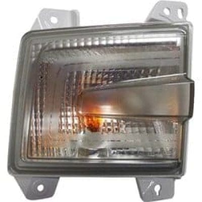 HO2530130C Driver Side Signal Lamp Assembly
